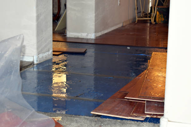 Professional Burst Pipe Cleanup technician working in Moxahala, OH